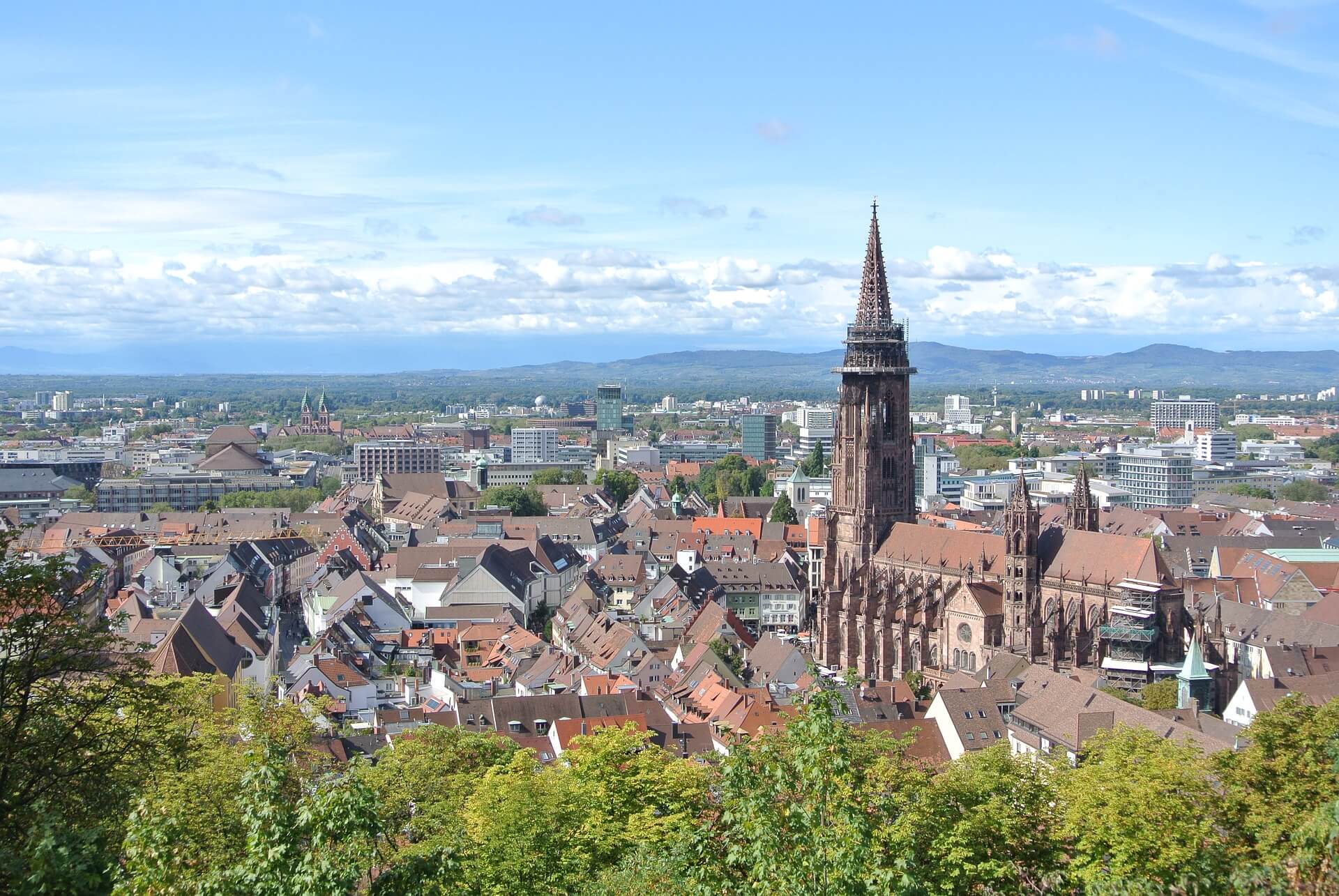 Münster, The Black Forest, Germany