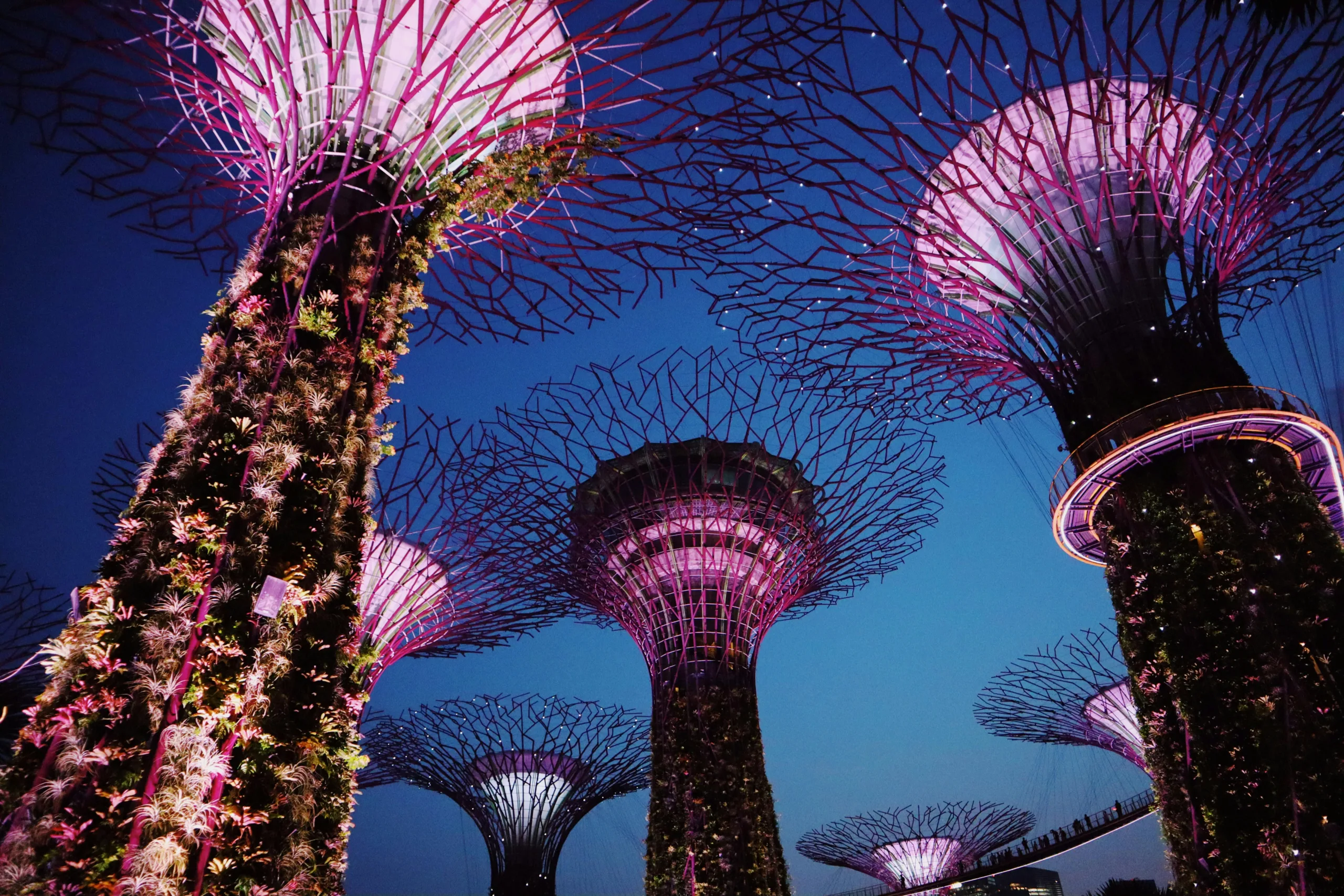 Singapore Gardens by the Bay1